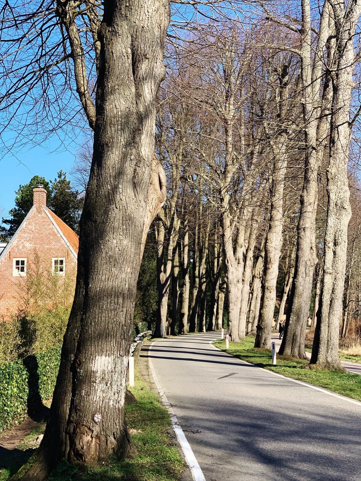 Spring 2026 in Newton, MA: Where Sellers Win—and Where Luxury Buyers Can Negotiate