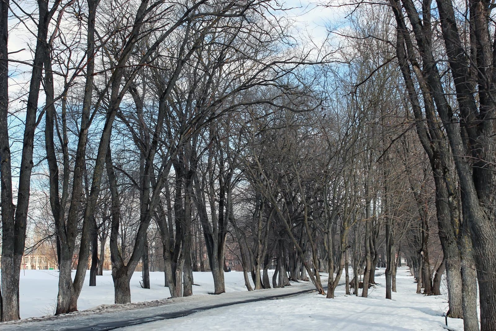 The Rate‑Wait Gamble in Newton, MA: Why January Buyers Can Win Before Spring